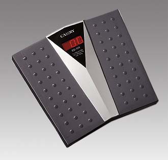 Electronic Bathroom Scale